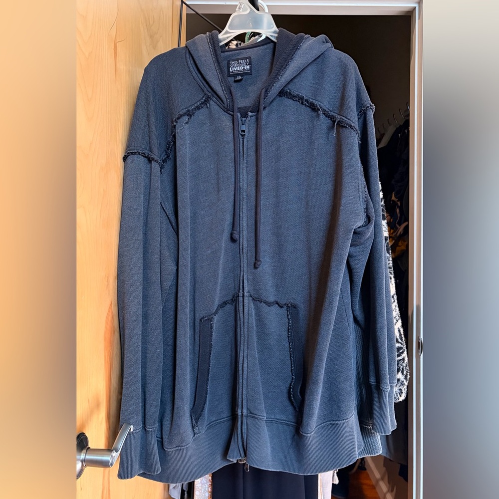 American Eagle Outfitters Charcoal Hoodie